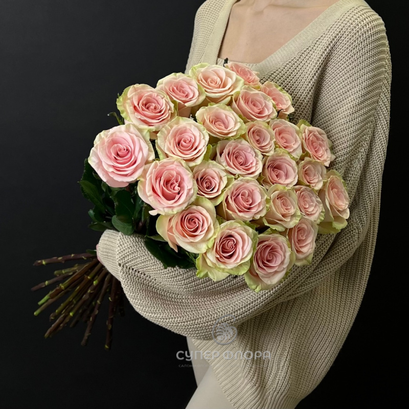 Розы "Absolut in pink" 3