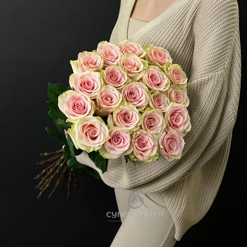 Розы "Absolut in pink" 2