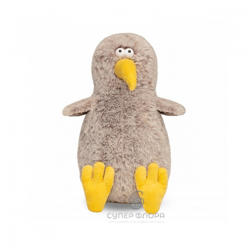 Птица &laquo;Киви&raquo; 1