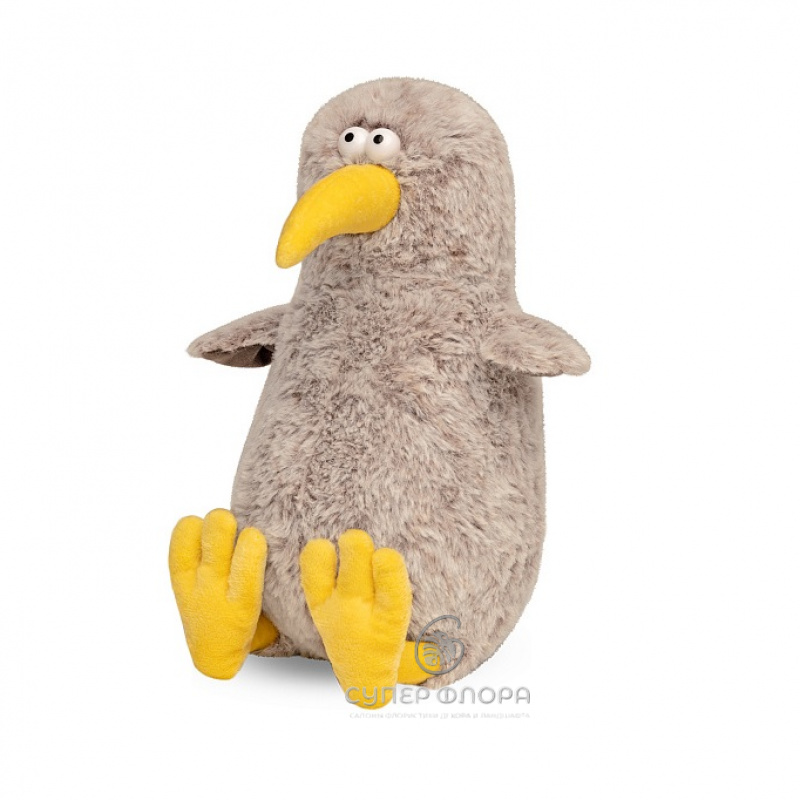 Птица &laquo;Киви&raquo;