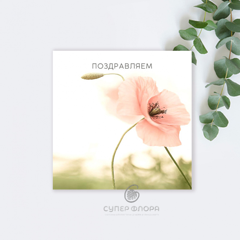 Открытка INSTAGRAM - Поздравляем "Розовый цветок"
