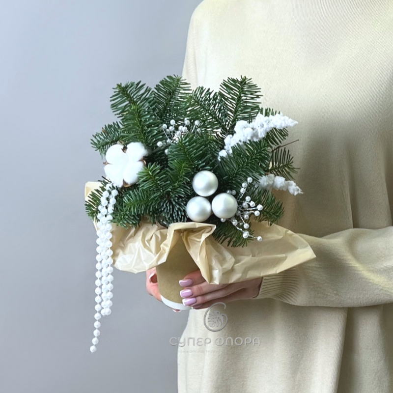 Новогодний комплимент