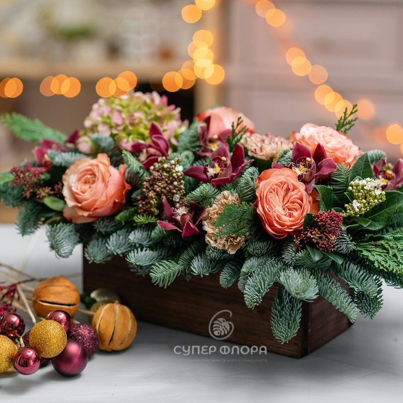 Пуансеттия