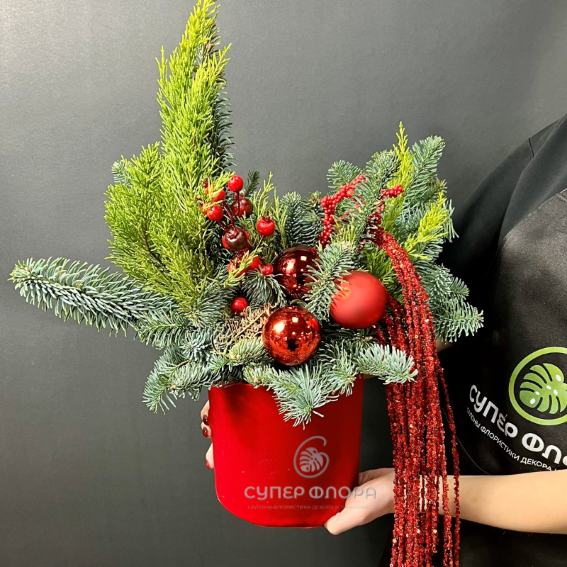 Композиция &laquo;Зимние сны&raquo;