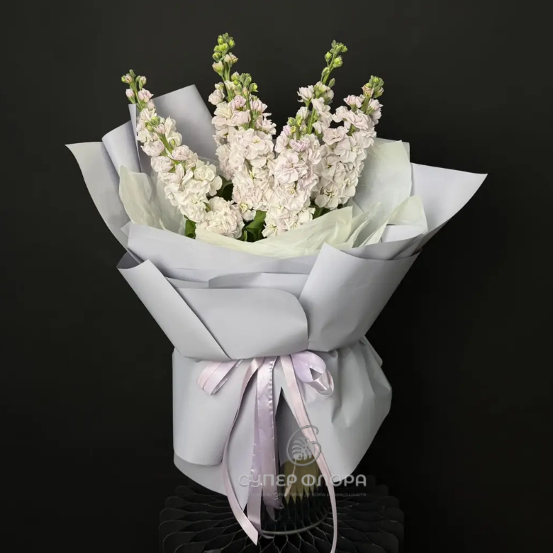 Джованна (Ханты)