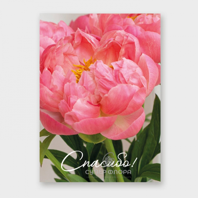 Мини-карточка &laquo;Спасибо!&raquo;