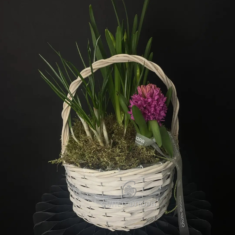 Корзина &laquo;Весна&raquo; ( Ханты )