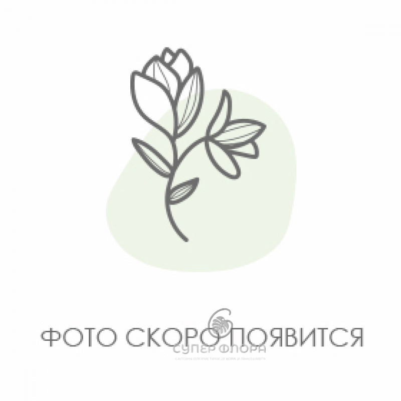 Букет &laquo;Нимфа&raquo;(северная)