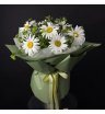 Композиция &laquo;Ренни&raquo; (Ханты)