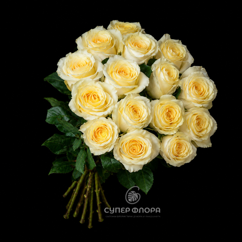 Розы &laquo;Candlelight&raquo;