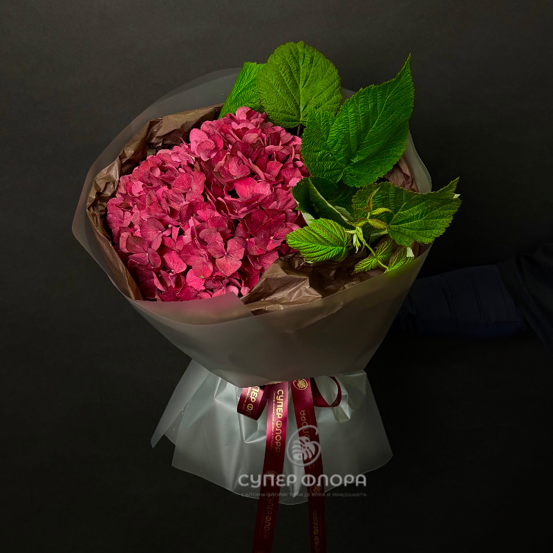 День знаний №19