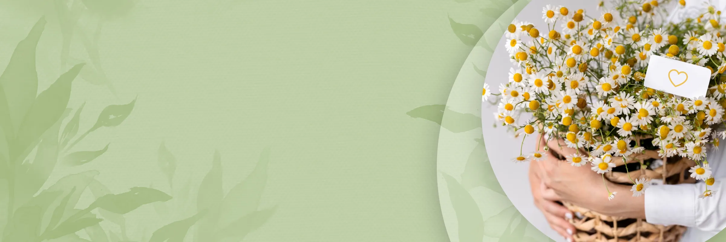 Дарим 300 бонусов