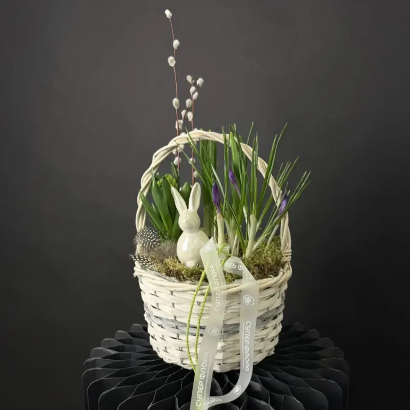 Композиция &laquo;Калисто&raquo; (Ханты)